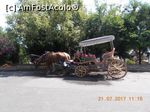 [P32] Caleasca noastra, cam subreda.  » foto by elviramvio
 - 
<span class="allrVoted glyphicon glyphicon-heart hidden" id="av884258"></span>
<a class="m-l-10 hidden" id="sv884258" onclick="voting_Foto_DelVot(,884258,8221)" role="button">șterge vot <span class="glyphicon glyphicon-remove"></span></a>
<a id="v9884258" class=" c-red"  onclick="voting_Foto_SetVot(884258)" role="button"><span class="glyphicon glyphicon-heart-empty"></span> <b>LIKE</b> = Votează poza</a> <img class="hidden"  id="f884258W9" src="/imagini/loader.gif" border="0" /><span class="AjErrMes hidden" id="e884258ErM"></span>