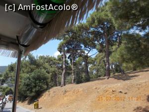 [P33] Păduri de pini.  » foto by elviramvio
 - 
<span class="allrVoted glyphicon glyphicon-heart hidden" id="av884259"></span>
<a class="m-l-10 hidden" id="sv884259" onclick="voting_Foto_DelVot(,884259,8221)" role="button">șterge vot <span class="glyphicon glyphicon-remove"></span></a>
<a id="v9884259" class=" c-red"  onclick="voting_Foto_SetVot(884259)" role="button"><span class="glyphicon glyphicon-heart-empty"></span> <b>LIKE</b> = Votează poza</a> <img class="hidden"  id="f884259W9" src="/imagini/loader.gif" border="0" /><span class="AjErrMes hidden" id="e884259ErM"></span>