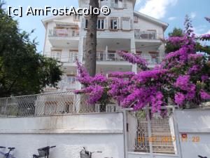 [P35]  -- <small>// FĂRĂ DESCRIERE</small> » foto by elviramvio
 - 
<span class="allrVoted glyphicon glyphicon-heart hidden" id="av884264"></span>
<a class="m-l-10 hidden" id="sv884264" onclick="voting_Foto_DelVot(,884264,8221)" role="button">șterge vot <span class="glyphicon glyphicon-remove"></span></a>
<a id="v9884264" class=" c-red"  onclick="voting_Foto_SetVot(884264)" role="button"><span class="glyphicon glyphicon-heart-empty"></span> <b>LIKE</b> = Votează poza</a> <img class="hidden"  id="f884264W9" src="/imagini/loader.gif" border="0" /><span class="AjErrMes hidden" id="e884264ErM"></span>