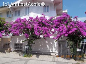 [P40]  -- <small>// FĂRĂ DESCRIERE</small> » foto by elviramvio
 - 
<span class="allrVoted glyphicon glyphicon-heart hidden" id="av884274"></span>
<a class="m-l-10 hidden" id="sv884274" onclick="voting_Foto_DelVot(,884274,8221)" role="button">șterge vot <span class="glyphicon glyphicon-remove"></span></a>
<a id="v9884274" class=" c-red"  onclick="voting_Foto_SetVot(884274)" role="button"><span class="glyphicon glyphicon-heart-empty"></span> <b>LIKE</b> = Votează poza</a> <img class="hidden"  id="f884274W9" src="/imagini/loader.gif" border="0" /><span class="AjErrMes hidden" id="e884274ErM"></span>