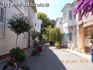 [P51]  -- <small>// FĂRĂ DESCRIERE</small> » foto by elviramvio
 - 
<span class="allrVoted glyphicon glyphicon-heart hidden" id="av884298"></span>
<a class="m-l-10 hidden" id="sv884298" onclick="voting_Foto_DelVot(,884298,8221)" role="button">șterge vot <span class="glyphicon glyphicon-remove"></span></a>
<a id="v9884298" class=" c-red"  onclick="voting_Foto_SetVot(884298)" role="button"><span class="glyphicon glyphicon-heart-empty"></span> <b>LIKE</b> = Votează poza</a> <img class="hidden"  id="f884298W9" src="/imagini/loader.gif" border="0" /><span class="AjErrMes hidden" id="e884298ErM"></span>