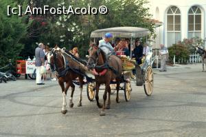 [P15] La plimbare cu 2 cai frumosi - Buyukada » foto by alina1104
 - 
<span class="allrVoted glyphicon glyphicon-heart hidden" id="av717533"></span>
<a class="m-l-10 hidden" id="sv717533" onclick="voting_Foto_DelVot(,717533,8221)" role="button">șterge vot <span class="glyphicon glyphicon-remove"></span></a>
<a id="v9717533" class=" c-red"  onclick="voting_Foto_SetVot(717533)" role="button"><span class="glyphicon glyphicon-heart-empty"></span> <b>LIKE</b> = Votează poza</a> <img class="hidden"  id="f717533W9" src="/imagini/loader.gif" border="0" /><span class="AjErrMes hidden" id="e717533ErM"></span>