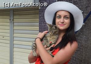 [P17] Buyukada - Sunt o mare iubitoare de pisici :)  » foto by alina1104
 - 
<span class="allrVoted glyphicon glyphicon-heart hidden" id="av717535"></span>
<a class="m-l-10 hidden" id="sv717535" onclick="voting_Foto_DelVot(,717535,8221)" role="button">șterge vot <span class="glyphicon glyphicon-remove"></span></a>
<a id="v9717535" class=" c-red"  onclick="voting_Foto_SetVot(717535)" role="button"><span class="glyphicon glyphicon-heart-empty"></span> <b>LIKE</b> = Votează poza</a> <img class="hidden"  id="f717535W9" src="/imagini/loader.gif" border="0" /><span class="AjErrMes hidden" id="e717535ErM"></span>