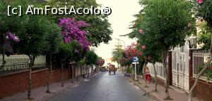 [P05] Buyukada- plina de strazi inguste si flori colorate » foto by alina1104
 - 
<span class="allrVoted glyphicon glyphicon-heart hidden" id="av717523"></span>
<a class="m-l-10 hidden" id="sv717523" onclick="voting_Foto_DelVot(,717523,8221)" role="button">șterge vot <span class="glyphicon glyphicon-remove"></span></a>
<a id="v9717523" class=" c-red"  onclick="voting_Foto_SetVot(717523)" role="button"><span class="glyphicon glyphicon-heart-empty"></span> <b>LIKE</b> = Votează poza</a> <img class="hidden"  id="f717523W9" src="/imagini/loader.gif" border="0" /><span class="AjErrMes hidden" id="e717523ErM"></span>