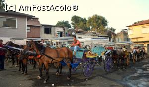 [P09] Buyukada- statia de cai puternic parfumata :)  » foto by alina1104
 - 
<span class="allrVoted glyphicon glyphicon-heart hidden" id="av717527"></span>
<a class="m-l-10 hidden" id="sv717527" onclick="voting_Foto_DelVot(,717527,8221)" role="button">șterge vot <span class="glyphicon glyphicon-remove"></span></a>
<a id="v9717527" class=" c-red"  onclick="voting_Foto_SetVot(717527)" role="button"><span class="glyphicon glyphicon-heart-empty"></span> <b>LIKE</b> = Votează poza</a> <img class="hidden"  id="f717527W9" src="/imagini/loader.gif" border="0" /><span class="AjErrMes hidden" id="e717527ErM"></span>