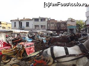 [P29] În parcarea caleştilor » foto by irinad
 - 
<span class="allrVoted glyphicon glyphicon-heart hidden" id="av694097"></span>
<a class="m-l-10 hidden" id="sv694097" onclick="voting_Foto_DelVot(,694097,8221)" role="button">șterge vot <span class="glyphicon glyphicon-remove"></span></a>
<a id="v9694097" class=" c-red"  onclick="voting_Foto_SetVot(694097)" role="button"><span class="glyphicon glyphicon-heart-empty"></span> <b>LIKE</b> = Votează poza</a> <img class="hidden"  id="f694097W9" src="/imagini/loader.gif" border="0" /><span class="AjErrMes hidden" id="e694097ErM"></span>