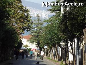 [P50] O stradă din Büyükada, pisici insulare şi malul asiatic în depărtare » foto by irinad
 - 
<span class="allrVoted glyphicon glyphicon-heart hidden" id="av694118"></span>
<a class="m-l-10 hidden" id="sv694118" onclick="voting_Foto_DelVot(,694118,8221)" role="button">șterge vot <span class="glyphicon glyphicon-remove"></span></a>
<a id="v9694118" class=" c-red"  onclick="voting_Foto_SetVot(694118)" role="button"><span class="glyphicon glyphicon-heart-empty"></span> <b>LIKE</b> = Votează poza</a> <img class="hidden"  id="f694118W9" src="/imagini/loader.gif" border="0" /><span class="AjErrMes hidden" id="e694118ErM"></span>