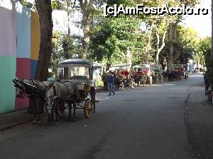 [P53] 'Taxi-uri' cabaline în aşteptarea clienţilor » foto by irinad
 - 
<span class="allrVoted glyphicon glyphicon-heart hidden" id="av694121"></span>
<a class="m-l-10 hidden" id="sv694121" onclick="voting_Foto_DelVot(,694121,8221)" role="button">șterge vot <span class="glyphicon glyphicon-remove"></span></a>
<a id="v9694121" class=" c-red"  onclick="voting_Foto_SetVot(694121)" role="button"><span class="glyphicon glyphicon-heart-empty"></span> <b>LIKE</b> = Votează poza</a> <img class="hidden"  id="f694121W9" src="/imagini/loader.gif" border="0" /><span class="AjErrMes hidden" id="e694121ErM"></span>