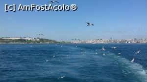 [P08] Lăsăm în urmă Istanbulul cu palatul Topkapı şi ne însoţesc mulţi pescăruşi » foto by irinad
 - 
<span class="allrVoted glyphicon glyphicon-heart hidden" id="av966524"></span>
<a class="m-l-10 hidden" id="sv966524" onclick="voting_Foto_DelVot(,966524,8221)" role="button">șterge vot <span class="glyphicon glyphicon-remove"></span></a>
<a id="v9966524" class=" c-red"  onclick="voting_Foto_SetVot(966524)" role="button"><span class="glyphicon glyphicon-heart-empty"></span> <b>LIKE</b> = Votează poza</a> <img class="hidden"  id="f966524W9" src="/imagini/loader.gif" border="0" /><span class="AjErrMes hidden" id="e966524ErM"></span>