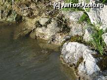 [P15]  -- <small>// FĂRĂ DESCRIERE</small> » foto by dananecula*
 - 
<span class="allrVoted glyphicon glyphicon-heart hidden" id="av240734"></span>
<a class="m-l-10 hidden" id="sv240734" onclick="voting_Foto_DelVot(,240734,8229)" role="button">șterge vot <span class="glyphicon glyphicon-remove"></span></a>
<a id="v9240734" class=" c-red"  onclick="voting_Foto_SetVot(240734)" role="button"><span class="glyphicon glyphicon-heart-empty"></span> <b>LIKE</b> = Votează poza</a> <img class="hidden"  id="f240734W9" src="/imagini/loader.gif" border="0" /><span class="AjErrMes hidden" id="e240734ErM"></span>