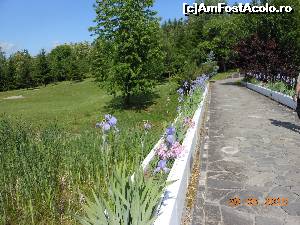 [P20] Lac de Verde - Golf & Leisure Resort. Aleea care duce spre Club House.  » foto by iulianic
 - 
<span class="allrVoted glyphicon glyphicon-heart hidden" id="av622632"></span>
<a class="m-l-10 hidden" id="sv622632" onclick="voting_Foto_DelVot(,622632,8246)" role="button">șterge vot <span class="glyphicon glyphicon-remove"></span></a>
<a id="v9622632" class=" c-red"  onclick="voting_Foto_SetVot(622632)" role="button"><span class="glyphicon glyphicon-heart-empty"></span> <b>LIKE</b> = Votează poza</a> <img class="hidden"  id="f622632W9" src="/imagini/loader.gif" border="0" /><span class="AjErrMes hidden" id="e622632ErM"></span>