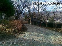 [P09] Alee pavata numai buna de promenada pana la biserica din capatul scarilor si pentru a privi imprejurimile intr-un peisaj uneori ingrijit, pe alocuri 'salbatic' » foto by livioarel*
 - 
<span class="allrVoted glyphicon glyphicon-heart hidden" id="av314646"></span>
<a class="m-l-10 hidden" id="sv314646" onclick="voting_Foto_DelVot(,314646,8250)" role="button">șterge vot <span class="glyphicon glyphicon-remove"></span></a>
<a id="v9314646" class=" c-red"  onclick="voting_Foto_SetVot(314646)" role="button"><span class="glyphicon glyphicon-heart-empty"></span> <b>LIKE</b> = Votează poza</a> <img class="hidden"  id="f314646W9" src="/imagini/loader.gif" border="0" /><span class="AjErrMes hidden" id="e314646ErM"></span>