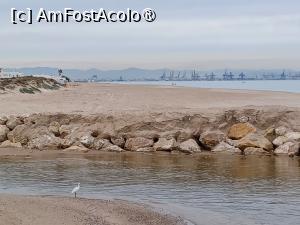 [P08] O pasare singuratica pe malul marii. În departare, portul Valencia » foto by BristenaBrad
 - 
<span class="allrVoted glyphicon glyphicon-heart hidden" id="av1398051"></span>
<a class="m-l-10 hidden" id="sv1398051" onclick="voting_Foto_DelVot(,1398051,8268)" role="button">șterge vot <span class="glyphicon glyphicon-remove"></span></a>
<a id="v91398051" class=" c-red"  onclick="voting_Foto_SetVot(1398051)" role="button"><span class="glyphicon glyphicon-heart-empty"></span> <b>LIKE</b> = Votează poza</a> <img class="hidden"  id="f1398051W9" src="/imagini/loader.gif" border="0" /><span class="AjErrMes hidden" id="e1398051ErM"></span>