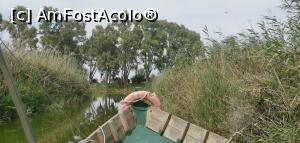 [P36] Plimbarea cu barca pe canale și lacul Albufera. » foto by Aurici
 - 
<span class="allrVoted glyphicon glyphicon-heart hidden" id="av1267115"></span>
<a class="m-l-10 hidden" id="sv1267115" onclick="voting_Foto_DelVot(,1267115,8268)" role="button">șterge vot <span class="glyphicon glyphicon-remove"></span></a>
<a id="v91267115" class=" c-red"  onclick="voting_Foto_SetVot(1267115)" role="button"><span class="glyphicon glyphicon-heart-empty"></span> <b>LIKE</b> = Votează poza</a> <img class="hidden"  id="f1267115W9" src="/imagini/loader.gif" border="0" /><span class="AjErrMes hidden" id="e1267115ErM"></span>
