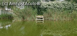 [P40] Plimbarea cu barca pe canale și lacul Albufera. » foto by Aurici
 - 
<span class="allrVoted glyphicon glyphicon-heart hidden" id="av1267119"></span>
<a class="m-l-10 hidden" id="sv1267119" onclick="voting_Foto_DelVot(,1267119,8268)" role="button">șterge vot <span class="glyphicon glyphicon-remove"></span></a>
<a id="v91267119" class=" c-red"  onclick="voting_Foto_SetVot(1267119)" role="button"><span class="glyphicon glyphicon-heart-empty"></span> <b>LIKE</b> = Votează poza</a> <img class="hidden"  id="f1267119W9" src="/imagini/loader.gif" border="0" /><span class="AjErrMes hidden" id="e1267119ErM"></span>