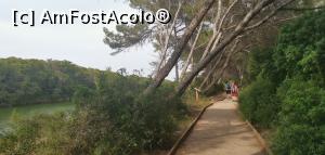 [P44] <strong>Parcul Natural Devesa - Albufera, </strong><strong>traseul istoric Gola del Pujol</strong>. » foto by Aurici
 - 
<span class="allrVoted glyphicon glyphicon-heart hidden" id="av1267123"></span>
<a class="m-l-10 hidden" id="sv1267123" onclick="voting_Foto_DelVot(,1267123,8268)" role="button">șterge vot <span class="glyphicon glyphicon-remove"></span></a>
<a id="v91267123" class=" c-red"  onclick="voting_Foto_SetVot(1267123)" role="button"><span class="glyphicon glyphicon-heart-empty"></span> <b>LIKE</b> = Votează poza</a> <img class="hidden"  id="f1267123W9" src="/imagini/loader.gif" border="0" /><span class="AjErrMes hidden" id="e1267123ErM"></span>
