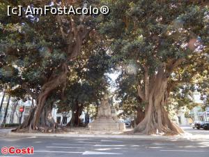 [P28] Între doi ficuși uriași, statuia poetului Teodoro Llorente, pe Gran Via del Marqués del Túria » foto by Costi
 - 
<span class="allrVoted glyphicon glyphicon-heart hidden" id="av927013"></span>
<a class="m-l-10 hidden" id="sv927013" onclick="voting_Foto_DelVot(,927013,8268)" role="button">șterge vot <span class="glyphicon glyphicon-remove"></span></a>
<a id="v9927013" class=" c-red"  onclick="voting_Foto_SetVot(927013)" role="button"><span class="glyphicon glyphicon-heart-empty"></span> <b>LIKE</b> = Votează poza</a> <img class="hidden"  id="f927013W9" src="/imagini/loader.gif" border="0" /><span class="AjErrMes hidden" id="e927013ErM"></span>