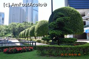 [P11] prin Parcul Hong Kong » foto by robert
 - 
<span class="allrVoted glyphicon glyphicon-heart hidden" id="av771477"></span>
<a class="m-l-10 hidden" id="sv771477" onclick="voting_Foto_DelVot(,771477,8285)" role="button">șterge vot <span class="glyphicon glyphicon-remove"></span></a>
<a id="v9771477" class=" c-red"  onclick="voting_Foto_SetVot(771477)" role="button"><span class="glyphicon glyphicon-heart-empty"></span> <b>LIKE</b> = Votează poza</a> <img class="hidden"  id="f771477W9" src="/imagini/loader.gif" border="0" /><span class="AjErrMes hidden" id="e771477ErM"></span>