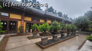 [P16] Ajungem in dreptul unei cladiri numita Stancariile, in fata careia sunt expusi pini taiati in tehnica bonsai. » foto by geani anto
 - 
<span class="allrVoted glyphicon glyphicon-heart hidden" id="av1521192"></span>
<a class="m-l-10 hidden" id="sv1521192" onclick="voting_Foto_DelVot(,1521192,8285)" role="button">șterge vot <span class="glyphicon glyphicon-remove"></span></a>
<a id="v91521192" class=" c-red"  onclick="voting_Foto_SetVot(1521192)" role="button"><span class="glyphicon glyphicon-heart-empty"></span> <b>LIKE</b> = Votează poza</a> <img class="hidden"  id="f1521192W9" src="/imagini/loader.gif" border="0" /><span class="AjErrMes hidden" id="e1521192ErM"></span>