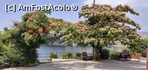 [P14] Peninsula Panagia printre copaci înfloriţi » foto by irinad
 - 
<span class="allrVoted glyphicon glyphicon-heart hidden" id="av1169673"></span>
<a class="m-l-10 hidden" id="sv1169673" onclick="voting_Foto_DelVot(,1169673,8286)" role="button">șterge vot <span class="glyphicon glyphicon-remove"></span></a>
<a id="v91169673" class=" c-red"  onclick="voting_Foto_SetVot(1169673)" role="button"><span class="glyphicon glyphicon-heart-empty"></span> <b>LIKE</b> = Votează poza</a> <img class="hidden"  id="f1169673W9" src="/imagini/loader.gif" border="0" /><span class="AjErrMes hidden" id="e1169673ErM"></span>