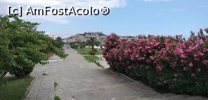 [P19] Leandri în zona promenadei din Kavala » foto by irinad
 - 
<span class="allrVoted glyphicon glyphicon-heart hidden" id="av1169678"></span>
<a class="m-l-10 hidden" id="sv1169678" onclick="voting_Foto_DelVot(,1169678,8286)" role="button">șterge vot <span class="glyphicon glyphicon-remove"></span></a>
<a id="v91169678" class=" c-red"  onclick="voting_Foto_SetVot(1169678)" role="button"><span class="glyphicon glyphicon-heart-empty"></span> <b>LIKE</b> = Votează poza</a> <img class="hidden"  id="f1169678W9" src="/imagini/loader.gif" border="0" /><span class="AjErrMes hidden" id="e1169678ErM"></span>