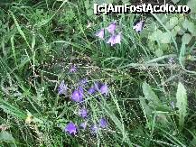 [P07]  -- <small>// FĂRĂ DESCRIERE</small> » foto by k
 - 
<span class="allrVoted glyphicon glyphicon-heart hidden" id="av178548"></span>
<a class="m-l-10 hidden" id="sv178548" onclick="voting_Foto_DelVot(,178548,8309)" role="button">șterge vot <span class="glyphicon glyphicon-remove"></span></a>
<a id="v9178548" class=" c-red"  onclick="voting_Foto_SetVot(178548)" role="button"><span class="glyphicon glyphicon-heart-empty"></span> <b>LIKE</b> = Votează poza</a> <img class="hidden"  id="f178548W9" src="/imagini/loader.gif" border="0" /><span class="AjErrMes hidden" id="e178548ErM"></span>