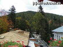 [P11] poza fara zoom din camera » foto by ANTONESEI OANA
 - 
<span class="allrVoted glyphicon glyphicon-heart hidden" id="av487743"></span>
<a class="m-l-10 hidden" id="sv487743" onclick="voting_Foto_DelVot(,487743,8311)" role="button">șterge vot <span class="glyphicon glyphicon-remove"></span></a>
<a id="v9487743" class=" c-red"  onclick="voting_Foto_SetVot(487743)" role="button"><span class="glyphicon glyphicon-heart-empty"></span> <b>LIKE</b> = Votează poza</a> <img class="hidden"  id="f487743W9" src="/imagini/loader.gif" border="0" /><span class="AjErrMes hidden" id="e487743ErM"></span>