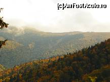 [P08]  -- <small>// FĂRĂ DESCRIERE</small> » foto by ANTONESEI OANA
 - 
<span class="allrVoted glyphicon glyphicon-heart hidden" id="av487740"></span>
<a class="m-l-10 hidden" id="sv487740" onclick="voting_Foto_DelVot(,487740,8311)" role="button">șterge vot <span class="glyphicon glyphicon-remove"></span></a>
<a id="v9487740" class=" c-red"  onclick="voting_Foto_SetVot(487740)" role="button"><span class="glyphicon glyphicon-heart-empty"></span> <b>LIKE</b> = Votează poza</a> <img class="hidden"  id="f487740W9" src="/imagini/loader.gif" border="0" /><span class="AjErrMes hidden" id="e487740ErM"></span>