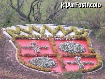 [P19]  -- <small>// FĂRĂ DESCRIERE</small> » foto by k
 - 
<span class="allrVoted glyphicon glyphicon-heart hidden" id="av178954"></span>
<a class="m-l-10 hidden" id="sv178954" onclick="voting_Foto_DelVot(,178954,8315)" role="button">șterge vot <span class="glyphicon glyphicon-remove"></span></a>
<a id="v9178954" class=" c-red"  onclick="voting_Foto_SetVot(178954)" role="button"><span class="glyphicon glyphicon-heart-empty"></span> <b>LIKE</b> = Votează poza</a> <img class="hidden"  id="f178954W9" src="/imagini/loader.gif" border="0" /><span class="AjErrMes hidden" id="e178954ErM"></span>