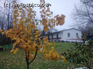 [P48] Sfântul Ioan Rusul, Giurgiu » foto by Mioritik
 - 
<span class="allrVoted glyphicon glyphicon-heart hidden" id="av1275818"></span>
<a class="m-l-10 hidden" id="sv1275818" onclick="voting_Foto_DelVot(,1275818,8317)" role="button">șterge vot <span class="glyphicon glyphicon-remove"></span></a>
<a id="v91275818" class=" c-red"  onclick="voting_Foto_SetVot(1275818)" role="button"><span class="glyphicon glyphicon-heart-empty"></span> <b>LIKE</b> = Votează poza</a> <img class="hidden"  id="f1275818W9" src="/imagini/loader.gif" border="0" /><span class="AjErrMes hidden" id="e1275818ErM"></span>