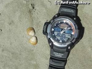 [P03] 8 aug 2015 - caldura mare la nivelul nisipului » foto by codryna
 - 
<span class="allrVoted glyphicon glyphicon-heart hidden" id="av659000"></span>
<a class="m-l-10 hidden" id="sv659000" onclick="voting_Foto_DelVot(,659000,8317)" role="button">șterge vot <span class="glyphicon glyphicon-remove"></span></a>
<a id="v9659000" class=" c-red"  onclick="voting_Foto_SetVot(659000)" role="button"><span class="glyphicon glyphicon-heart-empty"></span> <b>LIKE</b> = Votează poza</a> <img class="hidden"  id="f659000W9" src="/imagini/loader.gif" border="0" /><span class="AjErrMes hidden" id="e659000ErM"></span>