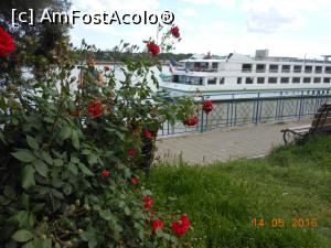 [P13] La Giurgiu - În port vezi nave ancorate și mulți trandafiri.  » foto by iulianic
 - 
<span class="allrVoted glyphicon glyphicon-heart hidden" id="av739303"></span>
<a class="m-l-10 hidden" id="sv739303" onclick="voting_Foto_DelVot(,739303,8317)" role="button">șterge vot <span class="glyphicon glyphicon-remove"></span></a>
<a id="v9739303" class=" c-red"  onclick="voting_Foto_SetVot(739303)" role="button"><span class="glyphicon glyphicon-heart-empty"></span> <b>LIKE</b> = Votează poza</a> <img class="hidden"  id="f739303W9" src="/imagini/loader.gif" border="0" /><span class="AjErrMes hidden" id="e739303ErM"></span>