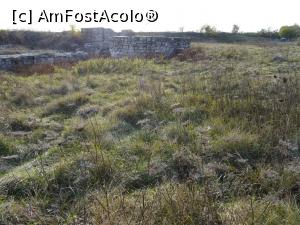 [P07] În jurul zidurilor e destul de multă vegetație - Cetatea Giurgiu.  » foto by tata123 🔱
 - 
<span class="allrVoted glyphicon glyphicon-heart hidden" id="av1032503"></span>
<a class="m-l-10 hidden" id="sv1032503" onclick="voting_Foto_DelVot(,1032503,8317)" role="button">șterge vot <span class="glyphicon glyphicon-remove"></span></a>
<a id="v91032503" class=" c-red"  onclick="voting_Foto_SetVot(1032503)" role="button"><span class="glyphicon glyphicon-heart-empty"></span> <b>LIKE</b> = Votează poza</a> <img class="hidden"  id="f1032503W9" src="/imagini/loader.gif" border="0" /><span class="AjErrMes hidden" id="e1032503ErM"></span>