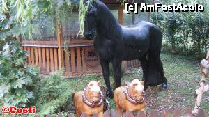 [P25] În categoria 'kitsch' intră şi animalele din ceramică: cai, ponei...  » foto by Costi
 - 
<span class="allrVoted glyphicon glyphicon-heart hidden" id="av466173"></span>
<a class="m-l-10 hidden" id="sv466173" onclick="voting_Foto_DelVot(,466173,8322)" role="button">șterge vot <span class="glyphicon glyphicon-remove"></span></a>
<a id="v9466173" class=" c-red"  onclick="voting_Foto_SetVot(466173)" role="button"><span class="glyphicon glyphicon-heart-empty"></span> <b>LIKE</b> = Votează poza</a> <img class="hidden"  id="f466173W9" src="/imagini/loader.gif" border="0" /><span class="AjErrMes hidden" id="e466173ErM"></span>