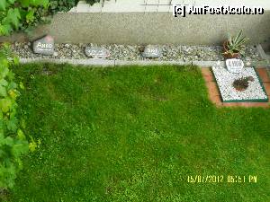 [P65] Fosti dragi prieteni ai stapanilor - pisicute, catelusi, ce-or fi fost... mic cimitir in gradina unei case, pentru a-i pastra in amintire...  » foto by Alina53
 - 
<span class="allrVoted glyphicon glyphicon-heart hidden" id="av400119"></span>
<a class="m-l-10 hidden" id="sv400119" onclick="voting_Foto_DelVot(,400119,8323)" role="button">șterge vot <span class="glyphicon glyphicon-remove"></span></a>
<a id="v9400119" class=" c-red"  onclick="voting_Foto_SetVot(400119)" role="button"><span class="glyphicon glyphicon-heart-empty"></span> <b>LIKE</b> = Votează poza</a> <img class="hidden"  id="f400119W9" src="/imagini/loader.gif" border="0" /><span class="AjErrMes hidden" id="e400119ErM"></span>