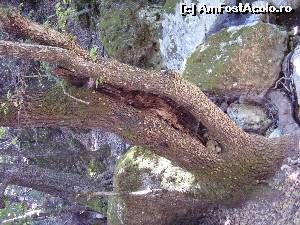 [P19] Fluturi -Valea fluturilor » foto by delo
 - 
<span class="allrVoted glyphicon glyphicon-heart hidden" id="av551828"></span>
<a class="m-l-10 hidden" id="sv551828" onclick="voting_Foto_DelVot(,551828,8330)" role="button">șterge vot <span class="glyphicon glyphicon-remove"></span></a>
<a id="v9551828" class=" c-red"  onclick="voting_Foto_SetVot(551828)" role="button"><span class="glyphicon glyphicon-heart-empty"></span> <b>LIKE</b> = Votează poza</a> <img class="hidden"  id="f551828W9" src="/imagini/loader.gif" border="0" /><span class="AjErrMes hidden" id="e551828ErM"></span>
