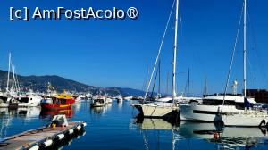 [P02] Portul din Santa Margherita Ligure » foto by k-lator
 - 
<span class="allrVoted glyphicon glyphicon-heart hidden" id="av1395368"></span>
<a class="m-l-10 hidden" id="sv1395368" onclick="voting_Foto_DelVot(,1395368,8341)" role="button">șterge vot <span class="glyphicon glyphicon-remove"></span></a>
<a id="v91395368" class=" c-red"  onclick="voting_Foto_SetVot(1395368)" role="button"><span class="glyphicon glyphicon-heart-empty"></span> <b>LIKE</b> = Votează poza</a> <img class="hidden"  id="f1395368W9" src="/imagini/loader.gif" border="0" /><span class="AjErrMes hidden" id="e1395368ErM"></span>