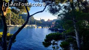 [P04] Ne apropiem de Portofino » foto by k-lator
 - 
<span class="allrVoted glyphicon glyphicon-heart hidden" id="av1395370"></span>
<a class="m-l-10 hidden" id="sv1395370" onclick="voting_Foto_DelVot(,1395370,8341)" role="button">șterge vot <span class="glyphicon glyphicon-remove"></span></a>
<a id="v91395370" class=" c-red"  onclick="voting_Foto_SetVot(1395370)" role="button"><span class="glyphicon glyphicon-heart-empty"></span> <b>LIKE</b> = Votează poza</a> <img class="hidden"  id="f1395370W9" src="/imagini/loader.gif" border="0" /><span class="AjErrMes hidden" id="e1395370ErM"></span>