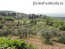 [P11] Castellina in Chianti » foto by dr.razvan
 - 
<span class="allrVoted glyphicon glyphicon-heart hidden" id="av205504"></span>
<a class="m-l-10 hidden" id="sv205504" onclick="voting_Foto_DelVot(,205504,8341)" role="button">șterge vot <span class="glyphicon glyphicon-remove"></span></a>
<a id="v9205504" class=" c-red"  onclick="voting_Foto_SetVot(205504)" role="button"><span class="glyphicon glyphicon-heart-empty"></span> <b>LIKE</b> = Votează poza</a> <img class="hidden"  id="f205504W9" src="/imagini/loader.gif" border="0" /><span class="AjErrMes hidden" id="e205504ErM"></span>