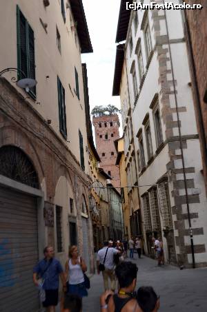 [P73] Lucca - se vede și Turnul Guinigi, unul din atracțiile orașului » foto by maxIC
 - 
<span class="allrVoted glyphicon glyphicon-heart hidden" id="av667028"></span>
<a class="m-l-10 hidden" id="sv667028" onclick="voting_Foto_DelVot(,667028,8341)" role="button">șterge vot <span class="glyphicon glyphicon-remove"></span></a>
<a id="v9667028" class=" c-red"  onclick="voting_Foto_SetVot(667028)" role="button"><span class="glyphicon glyphicon-heart-empty"></span> <b>LIKE</b> = Votează poza</a> <img class="hidden"  id="f667028W9" src="/imagini/loader.gif" border="0" /><span class="AjErrMes hidden" id="e667028ErM"></span>