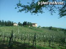 [P09] Toscana insasi 1 » foto by Rila
 - 
<span class="allrVoted glyphicon glyphicon-heart hidden" id="av208292"></span>
<a class="m-l-10 hidden" id="sv208292" onclick="voting_Foto_DelVot(,208292,8341)" role="button">șterge vot <span class="glyphicon glyphicon-remove"></span></a>
<a id="v9208292" class=" c-red"  onclick="voting_Foto_SetVot(208292)" role="button"><span class="glyphicon glyphicon-heart-empty"></span> <b>LIKE</b> = Votează poza</a> <img class="hidden"  id="f208292W9" src="/imagini/loader.gif" border="0" /><span class="AjErrMes hidden" id="e208292ErM"></span>