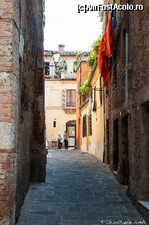 [P09] Siena streets » foto by mcnegoita
 - 
<span class="allrVoted glyphicon glyphicon-heart hidden" id="av454755"></span>
<a class="m-l-10 hidden" id="sv454755" onclick="voting_Foto_DelVot(,454755,8341)" role="button">șterge vot <span class="glyphicon glyphicon-remove"></span></a>
<a id="v9454755" class=" c-red"  onclick="voting_Foto_SetVot(454755)" role="button"><span class="glyphicon glyphicon-heart-empty"></span> <b>LIKE</b> = Votează poza</a> <img class="hidden"  id="f454755W9" src="/imagini/loader.gif" border="0" /><span class="AjErrMes hidden" id="e454755ErM"></span>