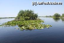 [P13]  -- <small>// FĂRĂ DESCRIERE</small> » foto by relu1988
 - 
<span class="allrVoted glyphicon glyphicon-heart hidden" id="av334727"></span>
<a class="m-l-10 hidden" id="sv334727" onclick="voting_Foto_DelVot(,334727,8360)" role="button">șterge vot <span class="glyphicon glyphicon-remove"></span></a>
<a id="v9334727" class=" c-red"  onclick="voting_Foto_SetVot(334727)" role="button"><span class="glyphicon glyphicon-heart-empty"></span> <b>LIKE</b> = Votează poza</a> <img class="hidden"  id="f334727W9" src="/imagini/loader.gif" border="0" /><span class="AjErrMes hidden" id="e334727ErM"></span>