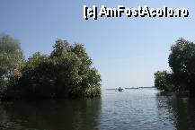 [P29]  -- <small>// FĂRĂ DESCRIERE</small> » foto by relu1988
 - 
<span class="allrVoted glyphicon glyphicon-heart hidden" id="av338039"></span>
<a class="m-l-10 hidden" id="sv338039" onclick="voting_Foto_DelVot(,338039,8360)" role="button">șterge vot <span class="glyphicon glyphicon-remove"></span></a>
<a id="v9338039" class=" c-red"  onclick="voting_Foto_SetVot(338039)" role="button"><span class="glyphicon glyphicon-heart-empty"></span> <b>LIKE</b> = Votează poza</a> <img class="hidden"  id="f338039W9" src="/imagini/loader.gif" border="0" /><span class="AjErrMes hidden" id="e338039ErM"></span>