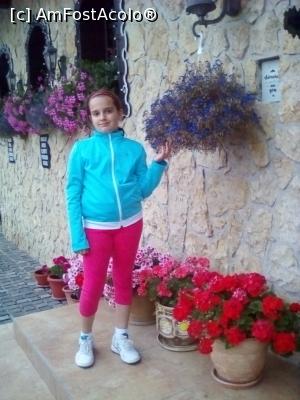 [P07] Exteriorul pensiunii este tot ornat cu flori.  » foto by gigiv
 - 
<span class="allrVoted glyphicon glyphicon-heart hidden" id="av890812"></span>
<a class="m-l-10 hidden" id="sv890812" onclick="voting_Foto_DelVot(,890812,8365)" role="button">șterge vot <span class="glyphicon glyphicon-remove"></span></a>
<a id="v9890812" class=" c-red"  onclick="voting_Foto_SetVot(890812)" role="button"><span class="glyphicon glyphicon-heart-empty"></span> <b>LIKE</b> = Votează poza</a> <img class="hidden"  id="f890812W9" src="/imagini/loader.gif" border="0" /><span class="AjErrMes hidden" id="e890812ErM"></span>