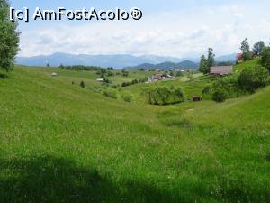 [P09] Peisaj în Șirnea. » foto by tata123 🔱
 - 
<span class="allrVoted glyphicon glyphicon-heart hidden" id="av1342796"></span>
<a class="m-l-10 hidden" id="sv1342796" onclick="voting_Foto_DelVot(,1342796,8368)" role="button">șterge vot <span class="glyphicon glyphicon-remove"></span></a>
<a id="v91342796" class=" c-red"  onclick="voting_Foto_SetVot(1342796)" role="button"><span class="glyphicon glyphicon-heart-empty"></span> <b>LIKE</b> = Votează poza</a> <img class="hidden"  id="f1342796W9" src="/imagini/loader.gif" border="0" /><span class="AjErrMes hidden" id="e1342796ErM"></span>