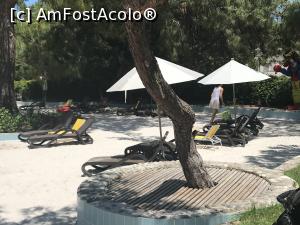 [P42] Gural Premier Tekirova - Paradisul Copiilor - baby beach » foto by nicole33
 - 
<span class="allrVoted glyphicon glyphicon-heart hidden" id="av985770"></span>
<a class="m-l-10 hidden" id="sv985770" onclick="voting_Foto_DelVot(,985770,8369)" role="button">șterge vot <span class="glyphicon glyphicon-remove"></span></a>
<a id="v9985770" class=" c-red"  onclick="voting_Foto_SetVot(985770)" role="button"><span class="glyphicon glyphicon-heart-empty"></span> <b>LIKE</b> = Votează poza</a> <img class="hidden"  id="f985770W9" src="/imagini/loader.gif" border="0" /><span class="AjErrMes hidden" id="e985770ErM"></span>