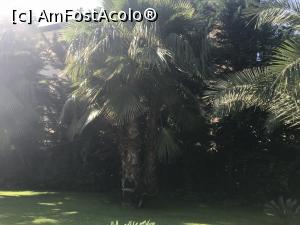 [P91] Gural Premier Tekirova - Paradisul copiilor - prin resort » foto by nicole33
 - 
<span class="allrVoted glyphicon glyphicon-heart hidden" id="av986165"></span>
<a class="m-l-10 hidden" id="sv986165" onclick="voting_Foto_DelVot(,986165,8369)" role="button">șterge vot <span class="glyphicon glyphicon-remove"></span></a>
<a id="v9986165" class=" c-red"  onclick="voting_Foto_SetVot(986165)" role="button"><span class="glyphicon glyphicon-heart-empty"></span> <b>LIKE</b> = Votează poza</a> <img class="hidden"  id="f986165W9" src="/imagini/loader.gif" border="0" /><span class="AjErrMes hidden" id="e986165ErM"></span>