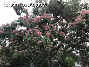 [P94] Gural Premier Tekirova - Paradisul copiilor - » foto by nicole33
 - 
<span class="allrVoted glyphicon glyphicon-heart hidden" id="av986168"></span>
<a class="m-l-10 hidden" id="sv986168" onclick="voting_Foto_DelVot(,986168,8369)" role="button">șterge vot <span class="glyphicon glyphicon-remove"></span></a>
<a id="v9986168" class=" c-red"  onclick="voting_Foto_SetVot(986168)" role="button"><span class="glyphicon glyphicon-heart-empty"></span> <b>LIKE</b> = Votează poza</a> <img class="hidden"  id="f986168W9" src="/imagini/loader.gif" border="0" /><span class="AjErrMes hidden" id="e986168ErM"></span>