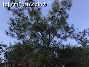 [P95] Gural Premier Tekirova - Paradisul copiilor - » foto by nicole33
 - 
<span class="allrVoted glyphicon glyphicon-heart hidden" id="av986169"></span>
<a class="m-l-10 hidden" id="sv986169" onclick="voting_Foto_DelVot(,986169,8369)" role="button">șterge vot <span class="glyphicon glyphicon-remove"></span></a>
<a id="v9986169" class=" c-red"  onclick="voting_Foto_SetVot(986169)" role="button"><span class="glyphicon glyphicon-heart-empty"></span> <b>LIKE</b> = Votează poza</a> <img class="hidden"  id="f986169W9" src="/imagini/loader.gif" border="0" /><span class="AjErrMes hidden" id="e986169ErM"></span>
